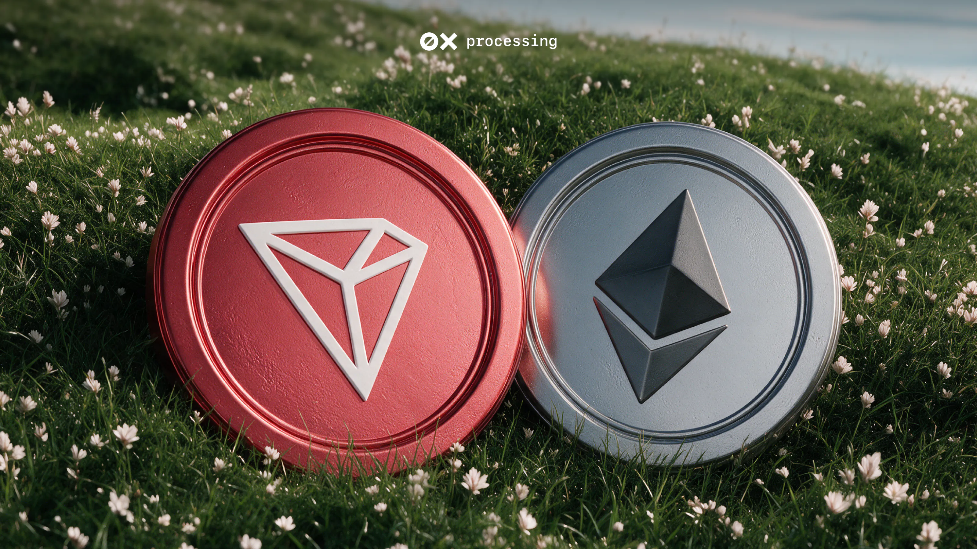 TRC20 vs ERC20: Which USDT Network to Use?
